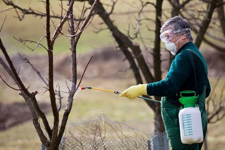 Liquide bordelais ou sulfate de cuivre - Liquide bordelais à utiliser en jardinage au printemps