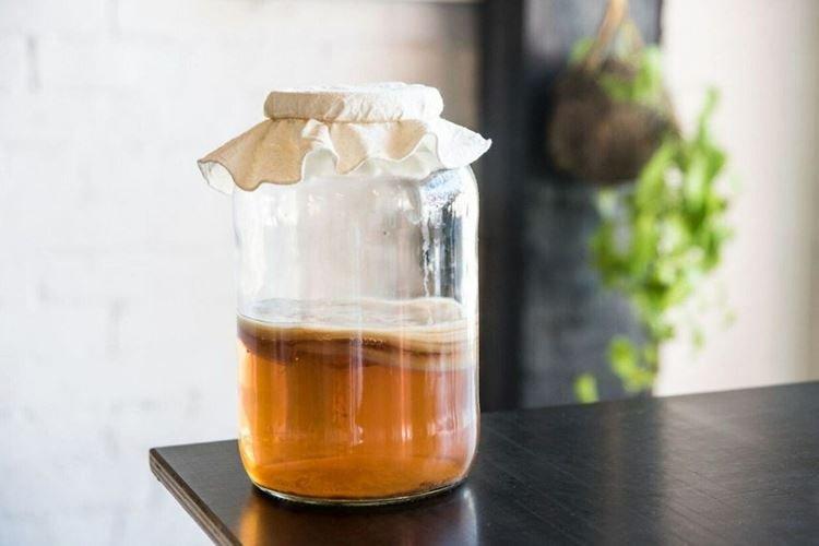 Médecine traditionnelle - Kombucha