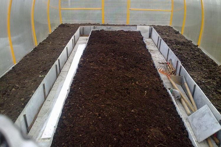 Comment et comment désinfecter le sol de la serre avant la plantation