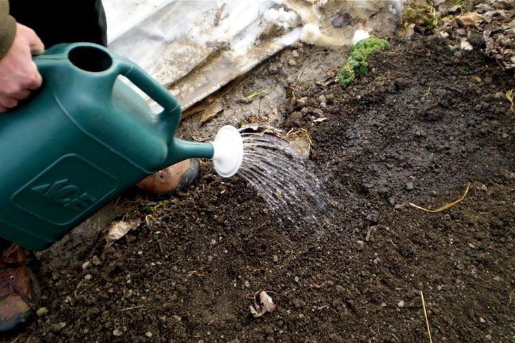 Traitement du sol après désinfection