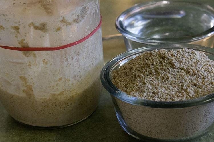 Top dressing de roses au printemps avec de la levure