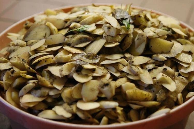 Pelures de pommes de terre - Comment nourrir les groseilles au printemps