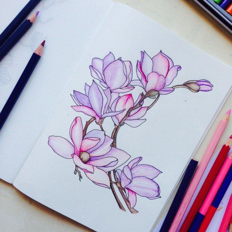 Fleurs fantastiques - Que pouvez-vous dessiner quand vous vous ennuyez