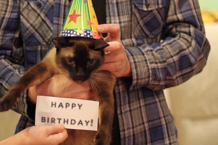 Félicitations vidéo - Que donner à votre maman pour votre anniversaire de vos propres mains