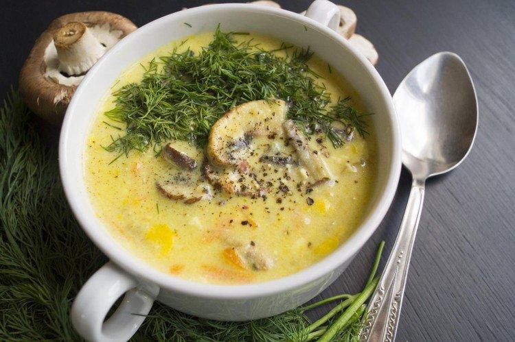 Soupe au fromage aux champignons - Que cuisiner à partir de recettes de champignons