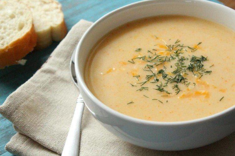 Soupe de purée de poulet - Que cuisiner pour votre enfant pour les recettes du déjeuner