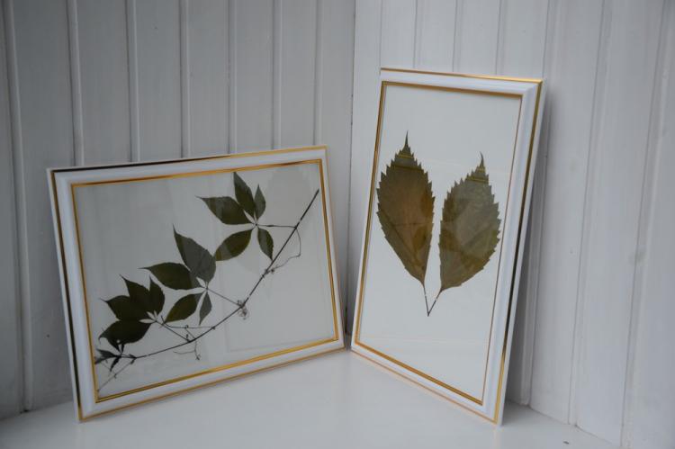 Herbier à l'intérieur - Décoration de chambre DIY