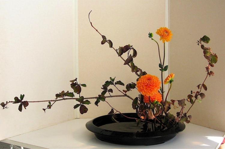 L'art de l'ikebana - Décoration de chambre DIY