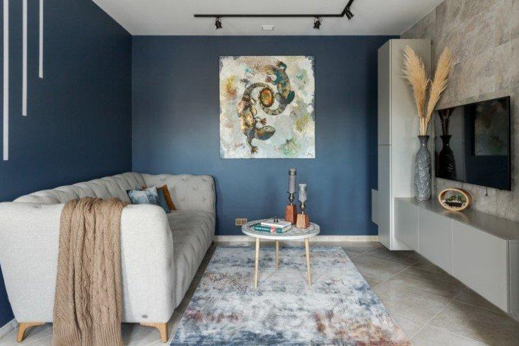 Séjour 15 m² - photo de décoration d'intérieur