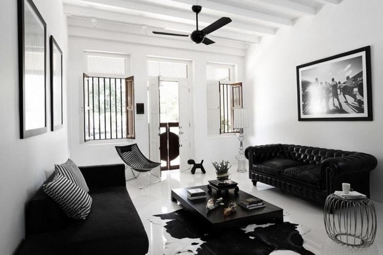 Salon noir et blanc 16 m² - Design d'intérieur