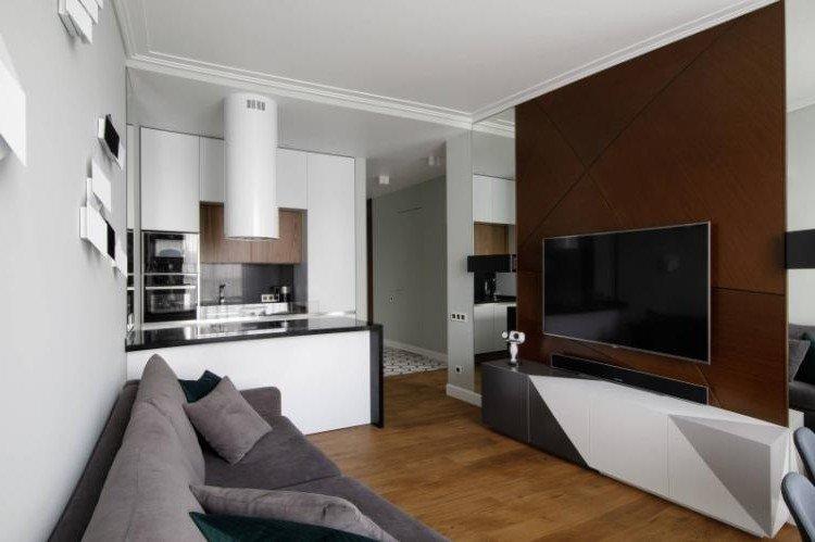 Cuisine-séjour 20 m² dans un style moderne - Design d'intérieur