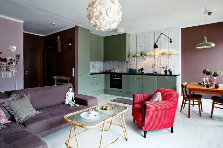 Cuisine-séjour 20 m² - Photo de décoration d'intérieur