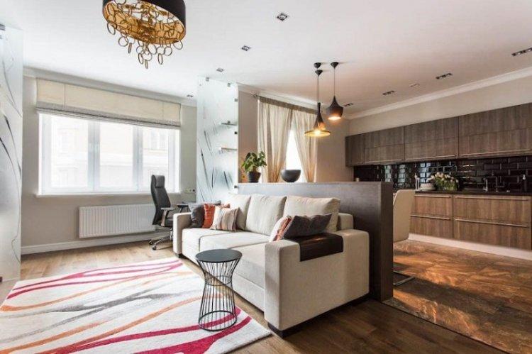 Cuisine-séjour 20 m² - Photo de décoration d'intérieur