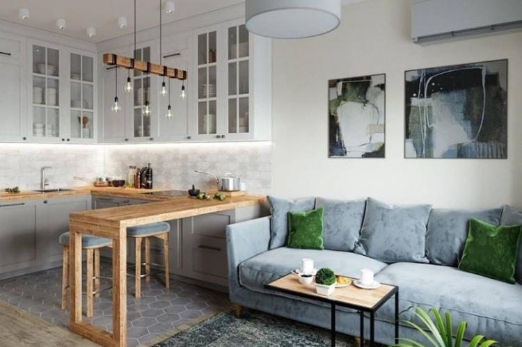 Cuisine-séjour 20 m² - Photo de décoration d'intérieur