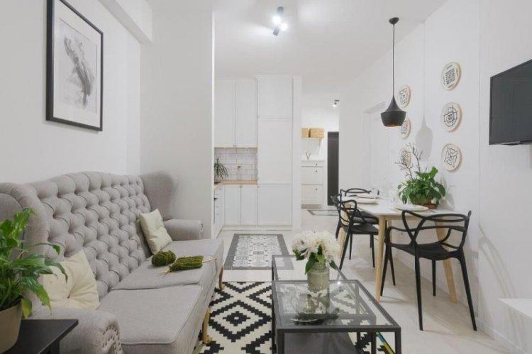 Cuisine-séjour 20 m² - Photo de décoration d'intérieur