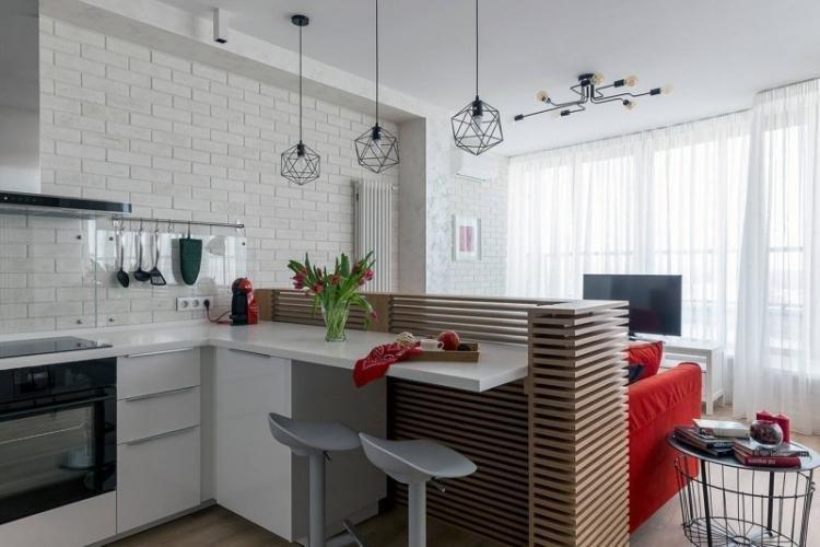 Cuisine-séjour 20 m² - Photo de décoration d'intérieur