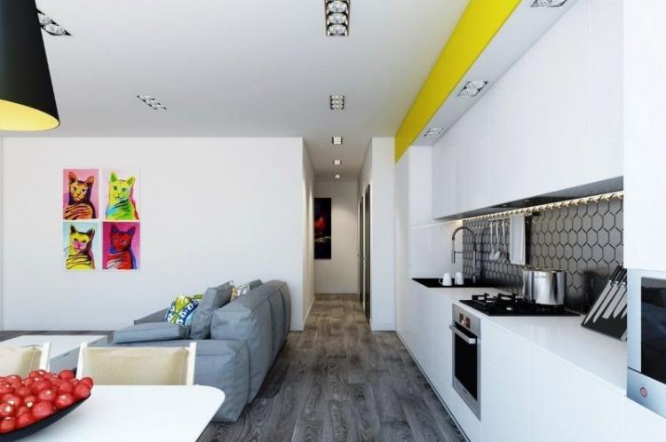 Conception de cuisine-salon - photos d'intérieurs réels