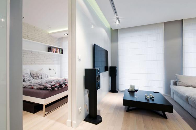 Salon combiné avec chambre à coucher - photo de design d'intérieur