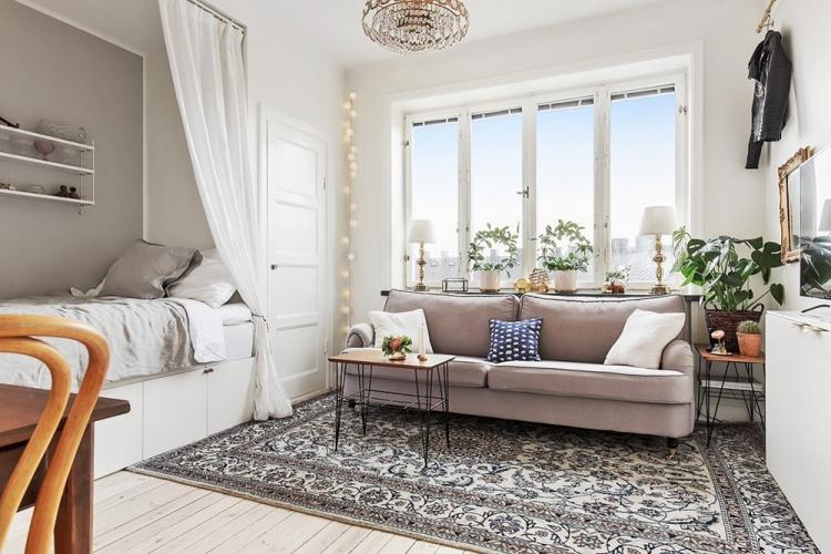 Salon combiné avec chambre à coucher - photo de design d'intérieur