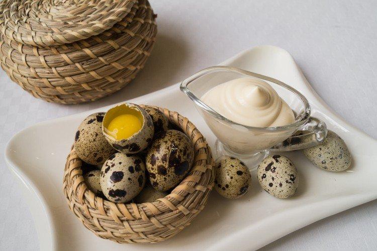Mayonnaise maison aux œufs de caille - recette comment faire