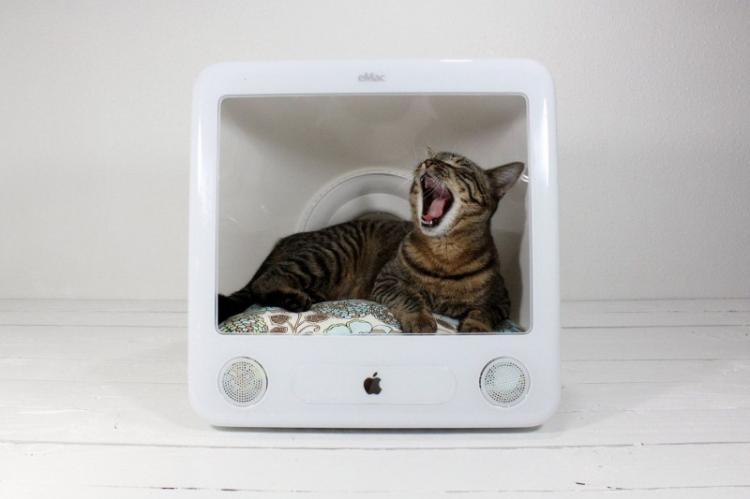 Maison de chat DIY : 11 idées simples (photo)