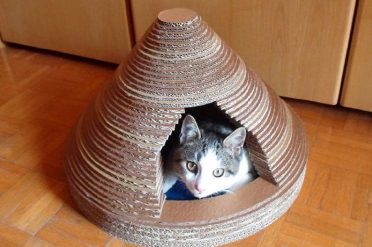 Maison de chat bricolage - photos et idées