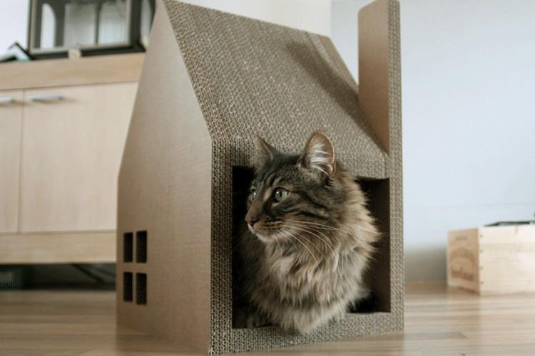 Maison de chat bricolage - photos et idées