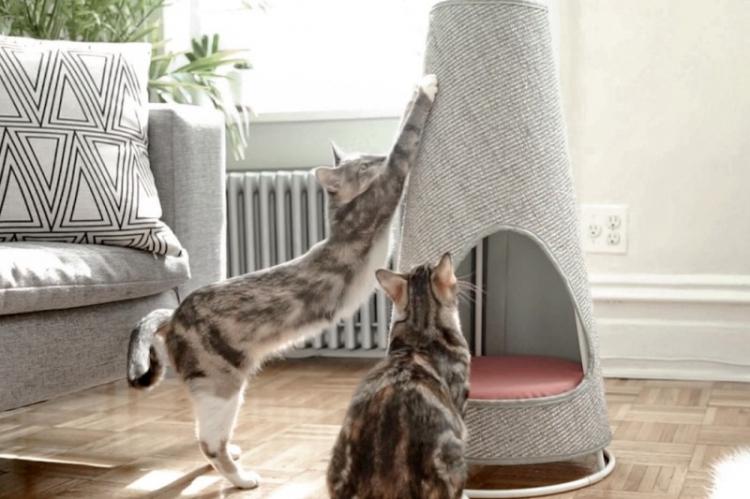 Maison de chat bricolage - photos et idées
