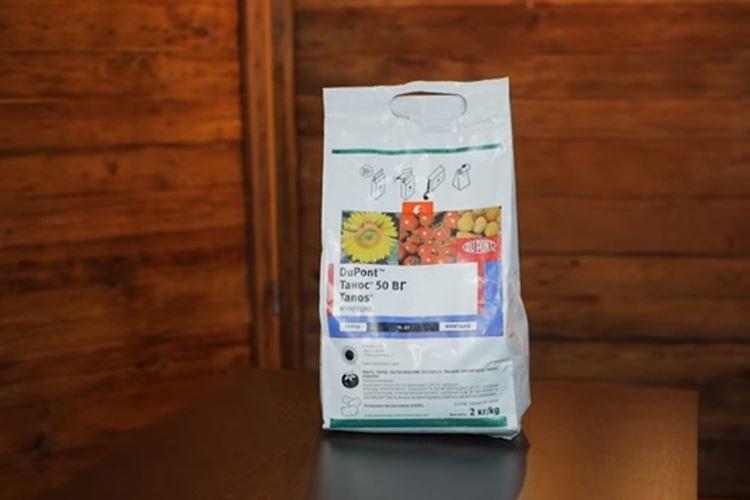 Thanos - Comment traiter les tomates du mildiou