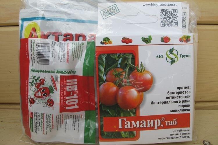 Gamair - Comment traiter les tomates du mildiou
