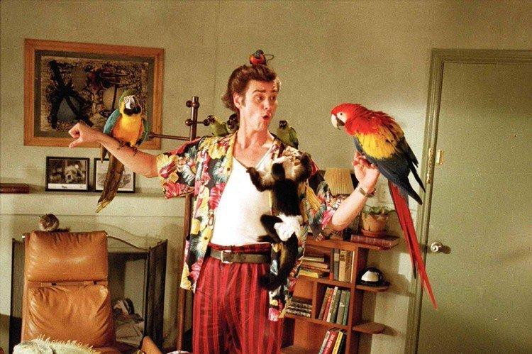 Ace Ventura : Suivi des animaux de compagnie (1994)