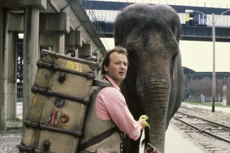 Plus que la vie (1996)