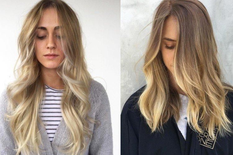 Blé blond