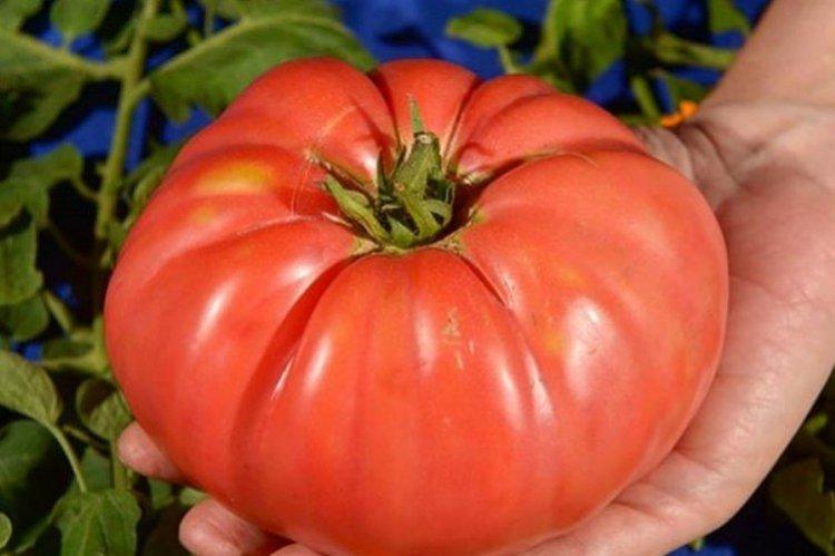 Le secret de grand-mère