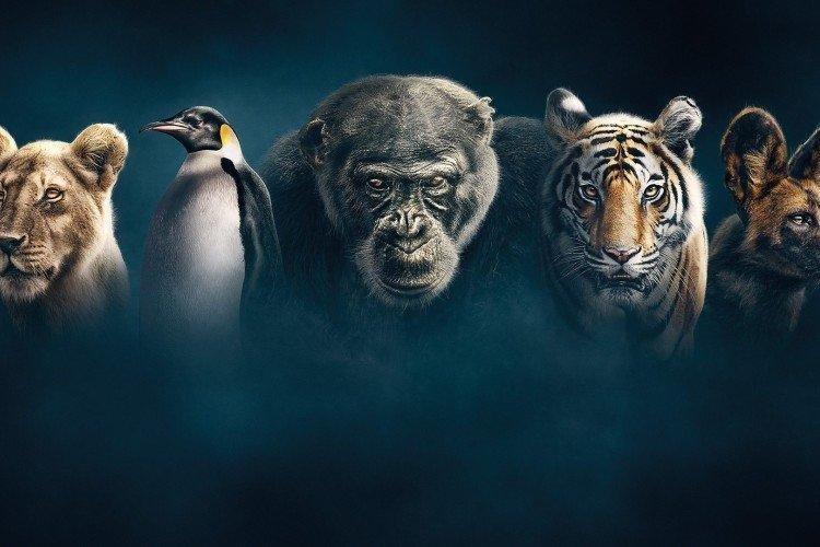 20 meilleurs documentaires de ces dernières années