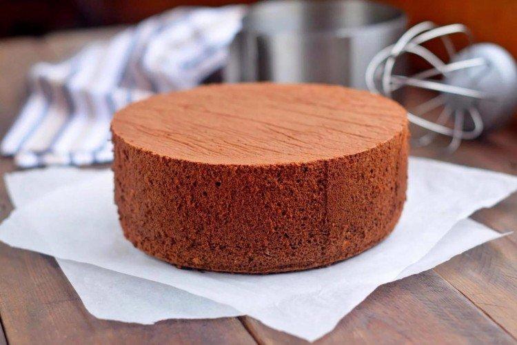 Gâteau éponge au chocolat noir