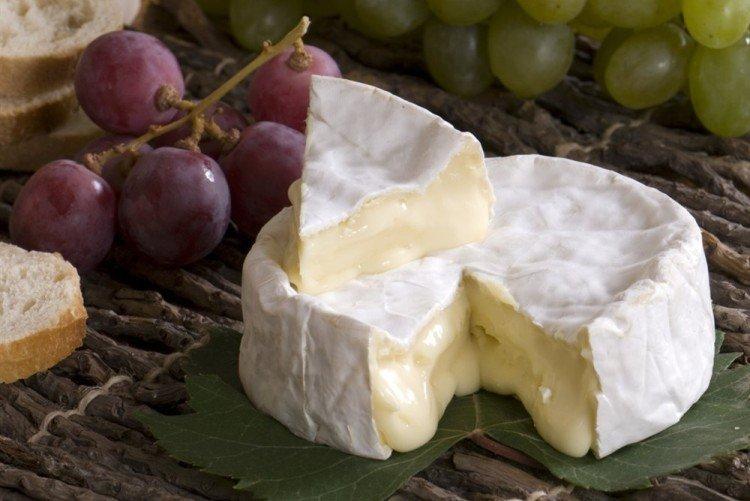 Camembert