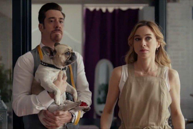 Petites coïncidences (2019)