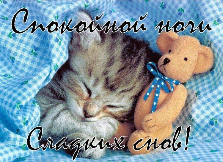 Bonne Nuit Fille Photos