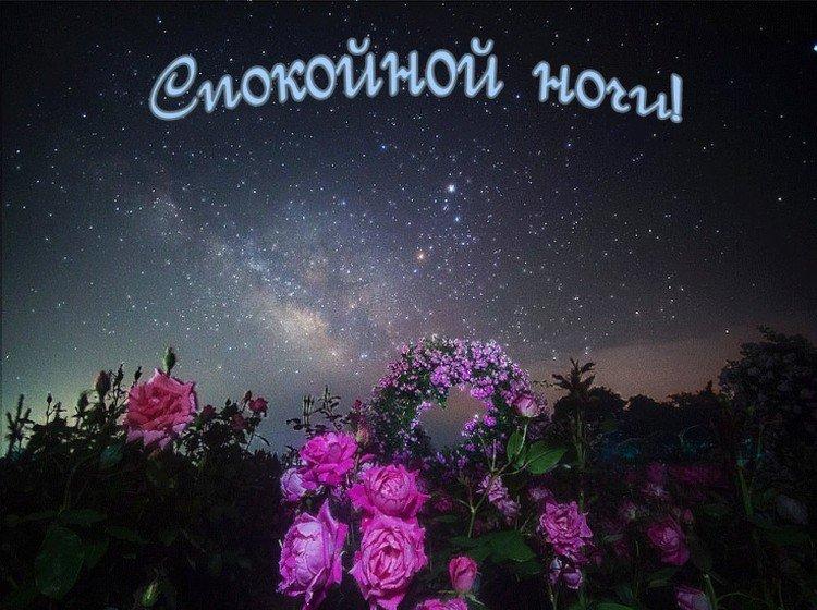 Bonne Nuit Fille Photos