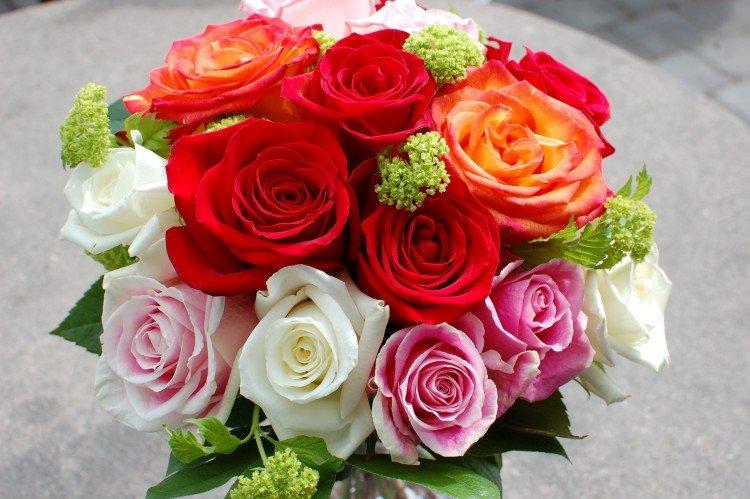 De beaux bouquets de roses