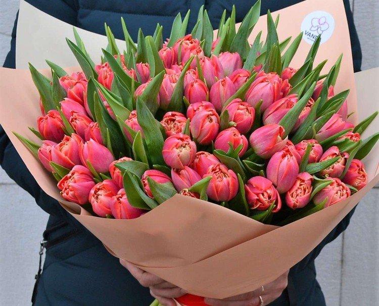 Bouquets de tulipes