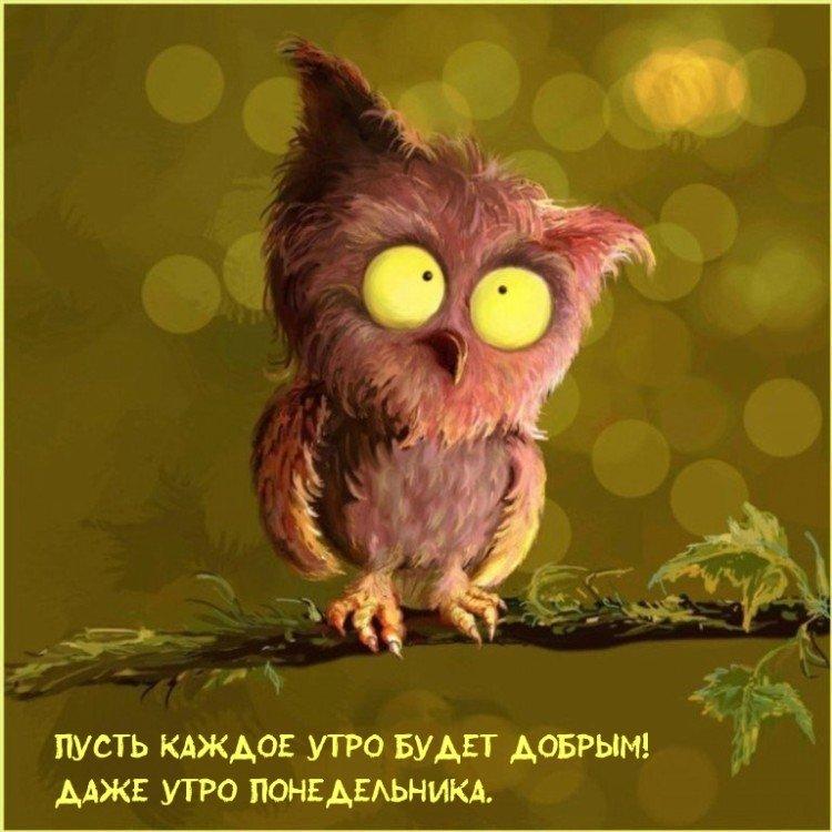 Les photos les plus cool Bonjour