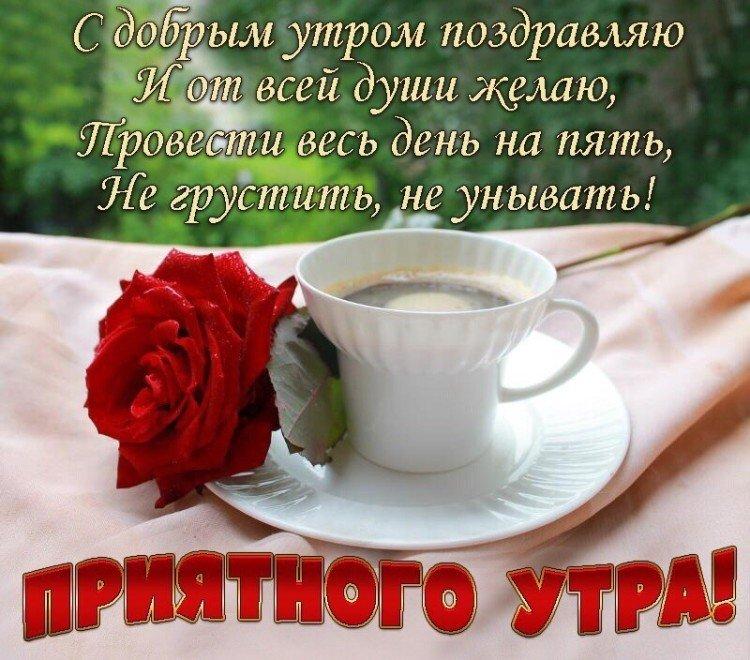 Photos Bonjour avec des voeux positifs