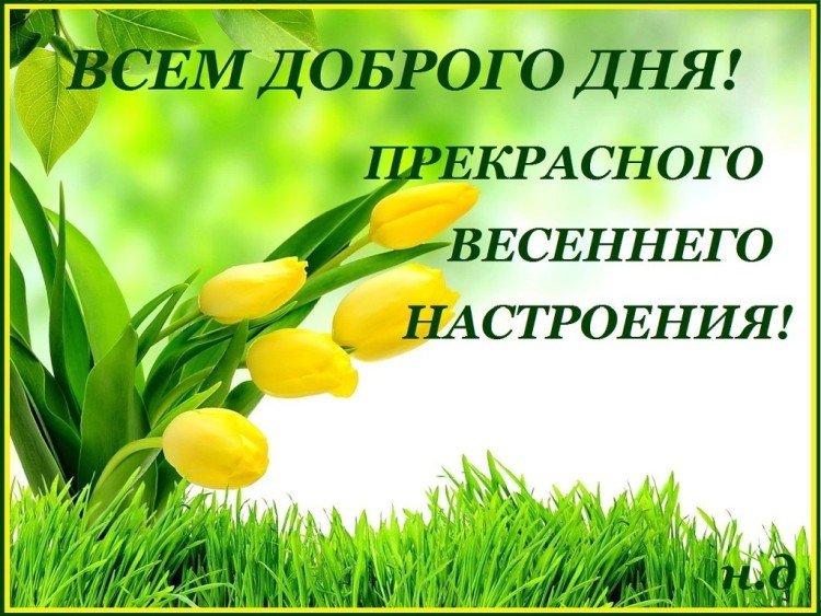 photos de printemps bonjour