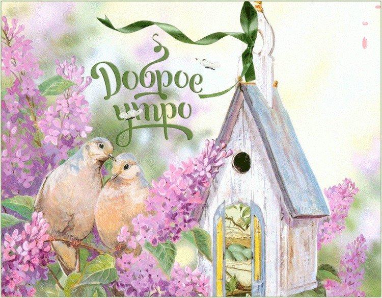 photos de printemps bonjour