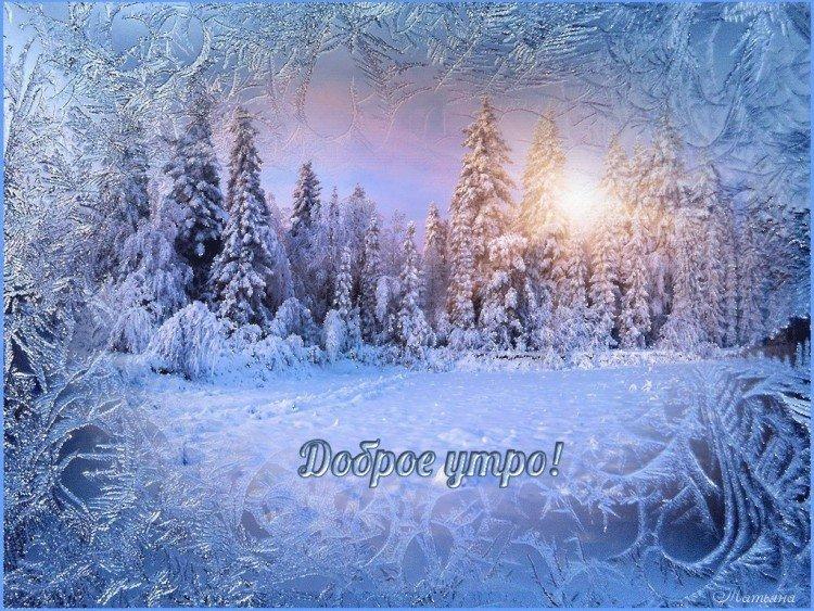 Bonjour photos d'hiver