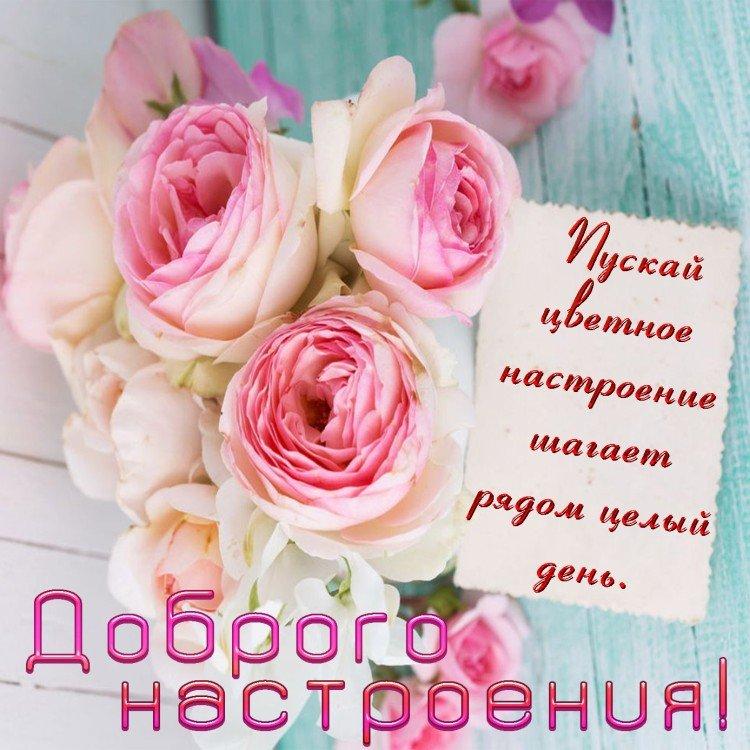 Bonjour Fille Photos