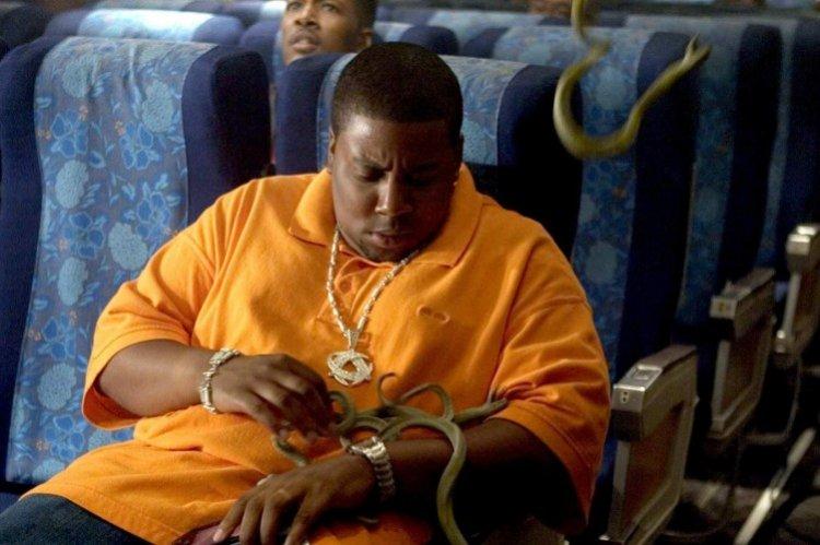 Vol en serpentine (2006)