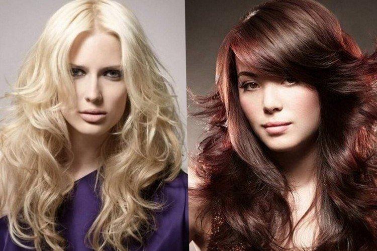 Rhapsodie avec une échelle